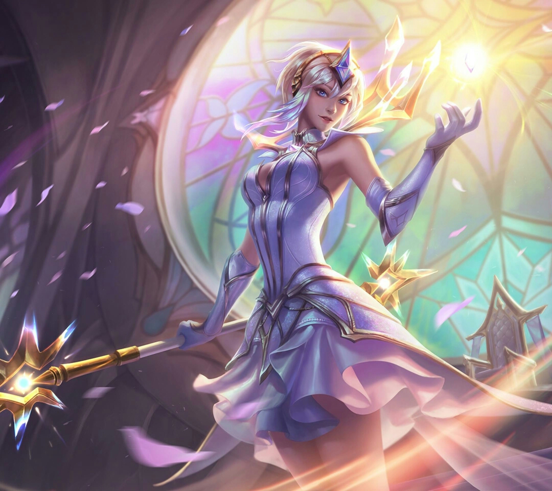 例则表明 例则表明