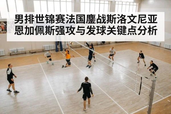 男排世锦赛法国鏖战斯洛文尼亚 恩加佩斯强攻与发球关键点分析
