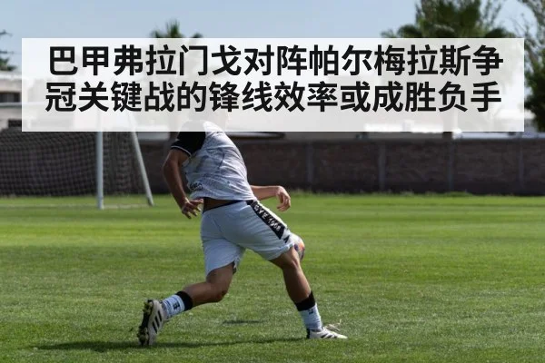 巴甲弗拉门戈对阵帕尔梅拉斯争冠关键战的锋线效率或成胜负手